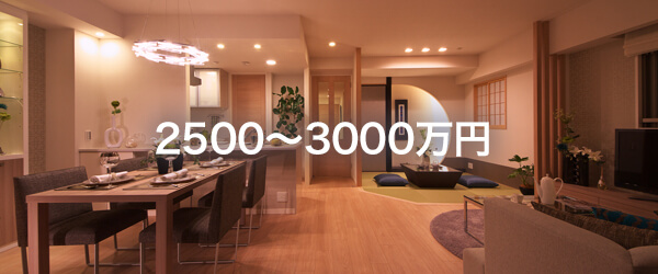 2500~3000万円台
